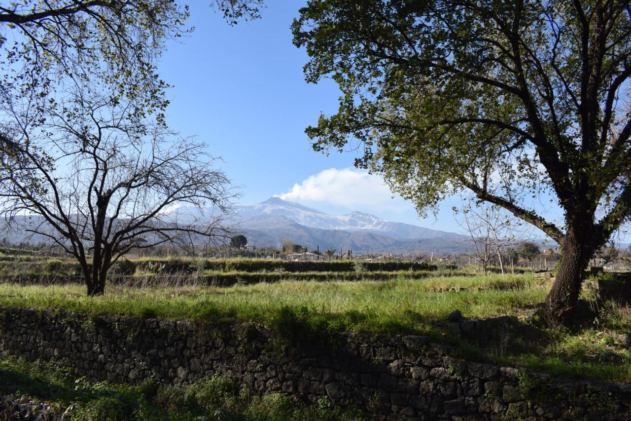 Etna Tra Le Querce Villa Santa Venerina Luaran gambar